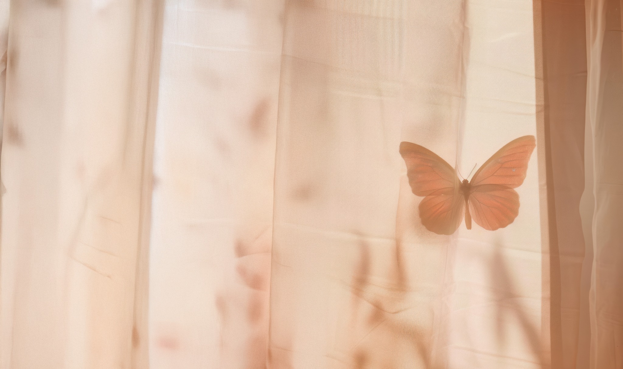 Borboleta projetada em cortina translúcida, símbolo de transformação